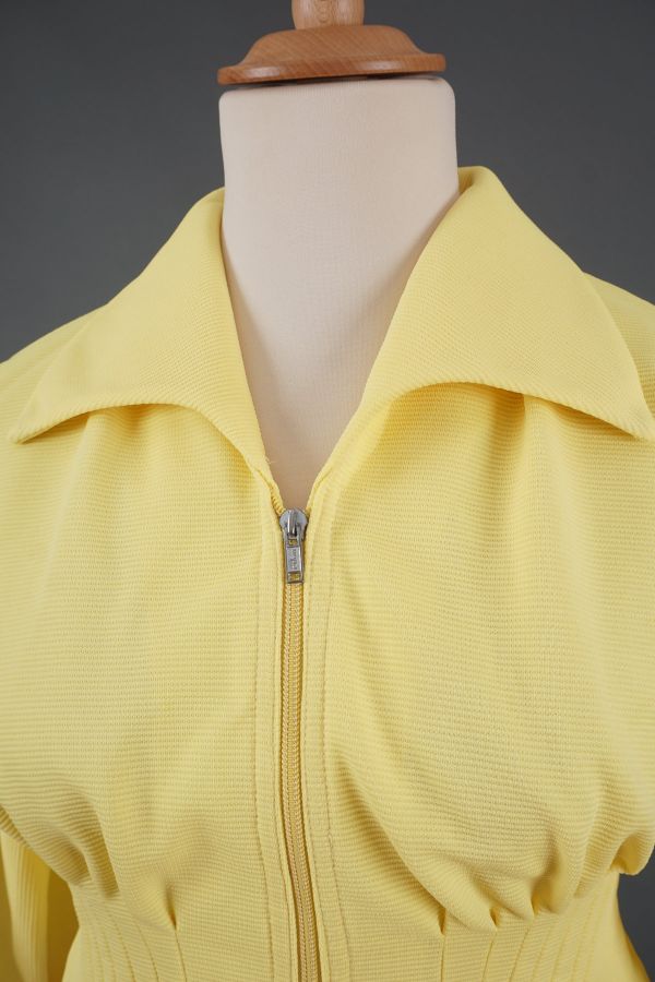 Žarko žuta jaknica Cijena